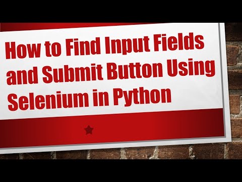 How to Find Input Fields and Submit Button Using Selenium in Python