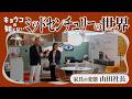 【ルームツアー】世界基準の名作チェアと最新インテリアトレンド完全網羅／ワークチェアとミッドセンチュリー家具／USMハラー・アーロンチェア・ヴィトラ・マジス・ハーマンミラー／マイホーム／ワイズカーサ