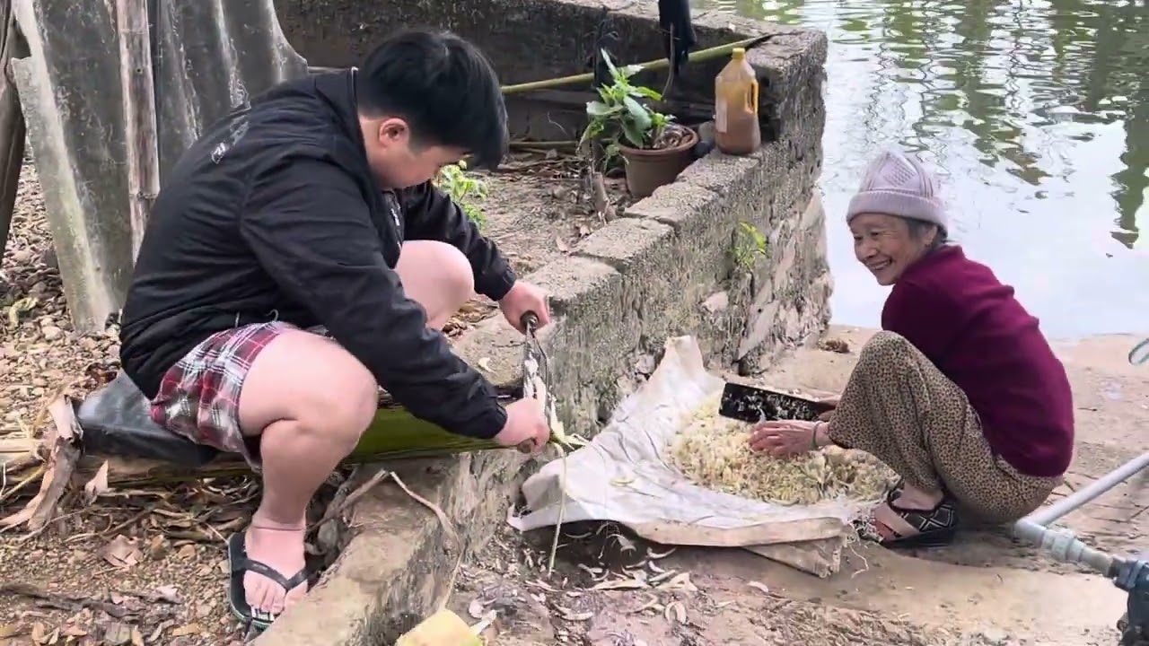 Thu hoạch ốc nhồi ngày 28 Tết 2025