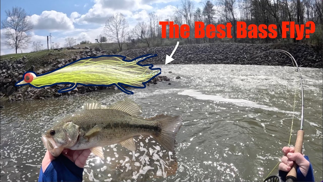 Fly Fishing for Largemouth Bass Fly Fishing Eastern Kentucky YouTube