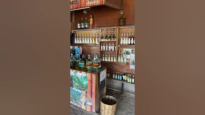 The Best Mezcal Distillery in Mexico! #subscribetomychannel #travel #mexico #travelvlog #hiddengem