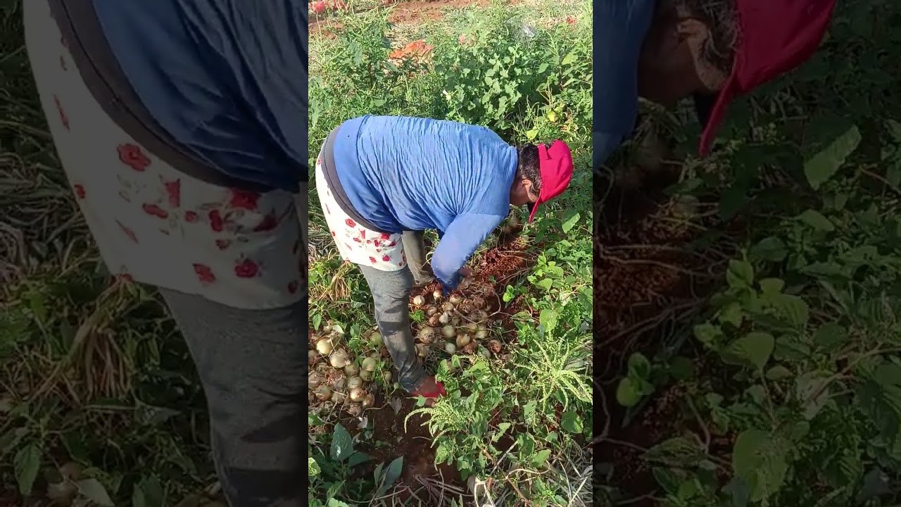 14 de janeiro de 2026