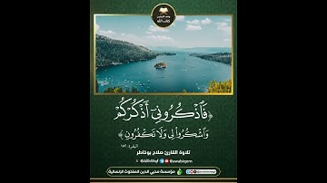 تلاوة القارئ صلاح بوخاطر