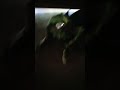 Haha M챔o Aaaaa Ch처 Th챙 S튼沼썀g Haha M챔o Aaaaa Ch처 Th챙 S튼沼썀g