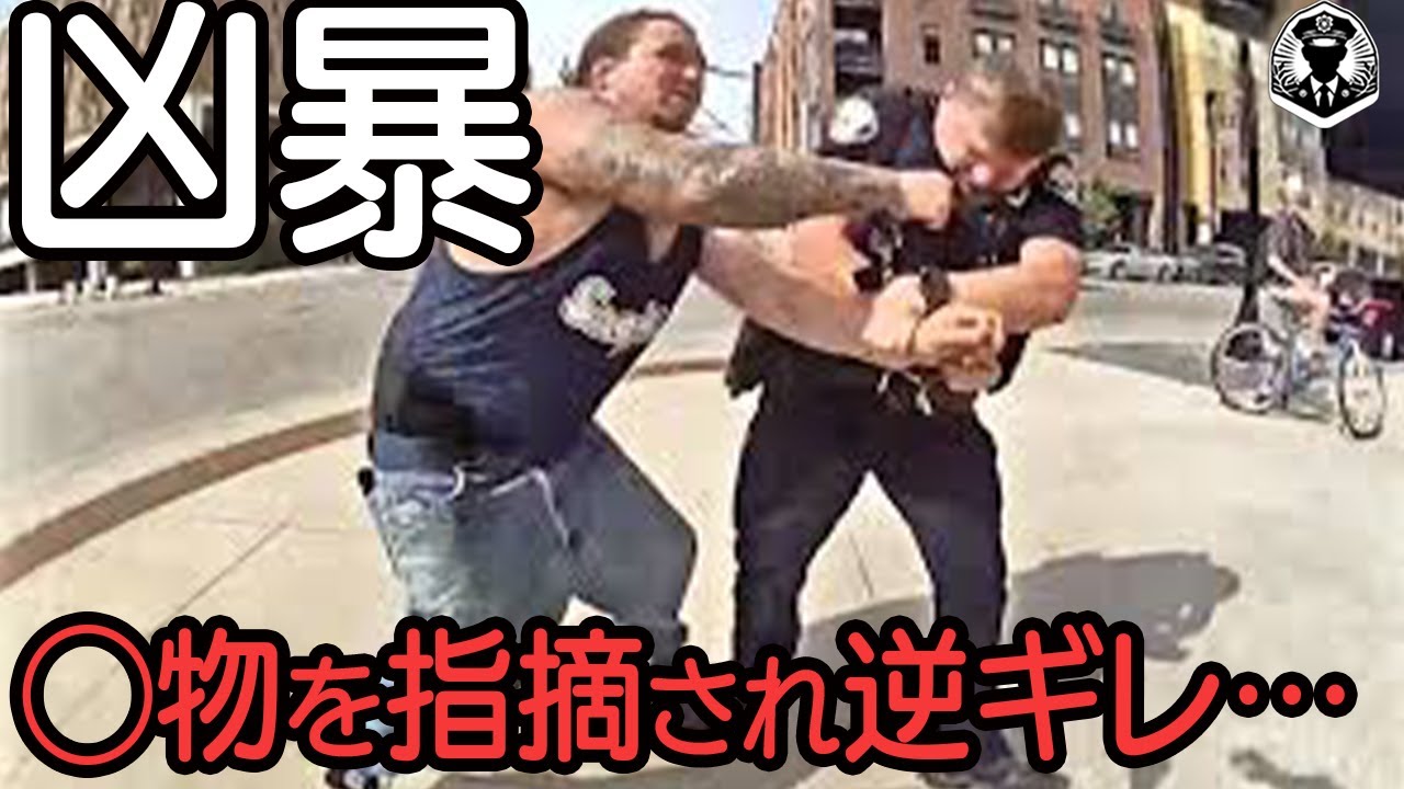 薬物男の呆れた逃走劇!警官3人を殴打し三輪バイクで追跡され禁錮5年【ボディカメラ】【アメリカ警察密着】