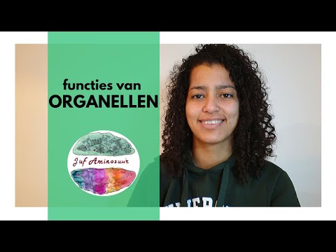 Organellen van de cel en hun functies (HAVO en VWO)