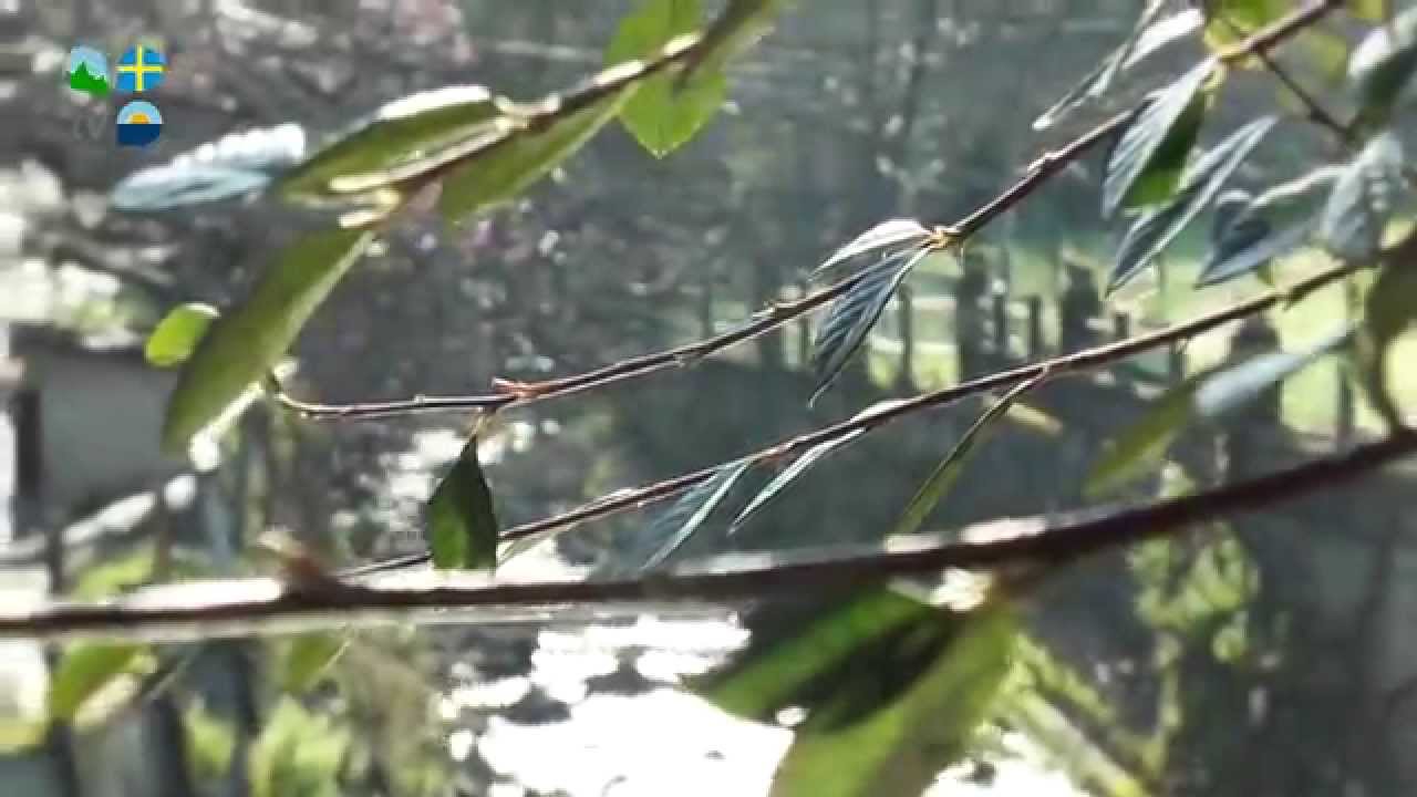 Bimenes - Turismo Asturias Televisión