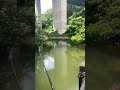 Fishing#lurefishing