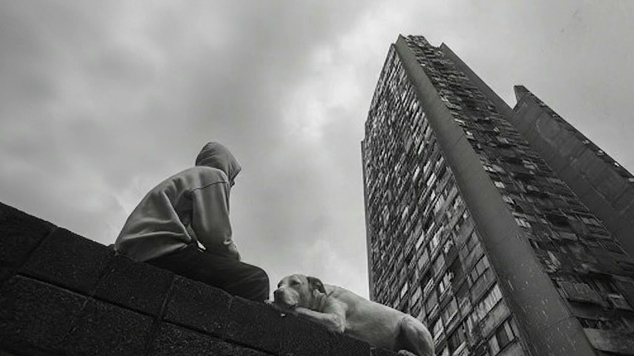 bittersweet nostalgia