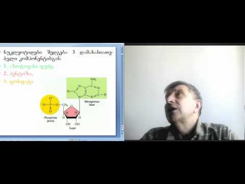 რევაზ სოლომონია