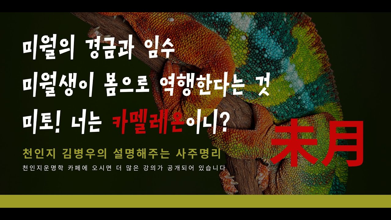 미월의 경금임수/미월생의 역행/카멜레온 미토