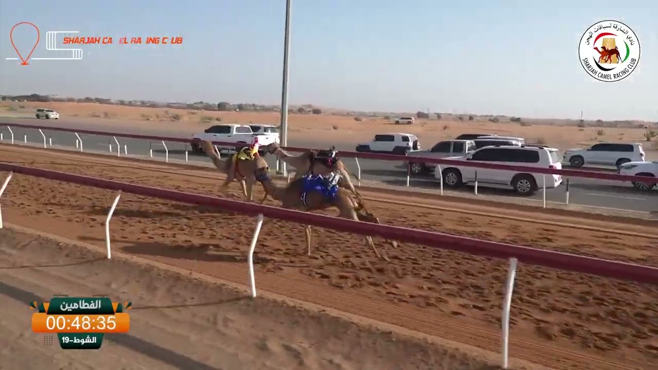ميــدان الذيد - ش 19 الفطامين 07/03/2026 الشاهينية لـ حمد علي عبيد بالرشيد الكتبي التوقيت : 2:10:50