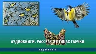 Аудиокниги. Пришвин рассказ о птицах Гаечки Аудиокниги. Пришвин рассказ о птицах Гаечки
