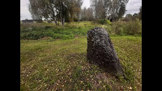 Таинственный метеорит в глуши Пошехонского района