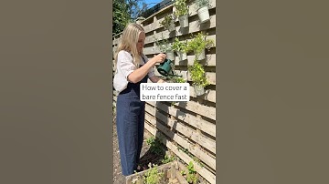 Petals & Roots, Episode 16: How to cover a bare fence fast