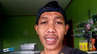 Umpan Ikan Mas Ciri Khas Sukabumi 90% Makan