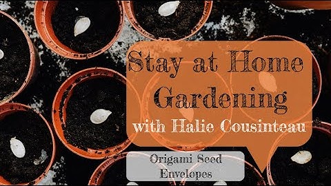 Stay at Home Gardening: Origami Seed Envelope