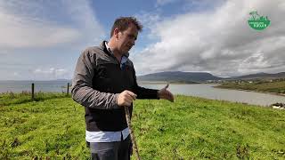 Making Peace with the Thistle on a Mayo Sheep farm - Farming for Nature Ambassador Colum Ginnelly
Sheep farming isnt easy. How do you get the most of it without sacrificing nature?
Colum Ginnelly is maximising his returns both for nature and financially through participation in the Wild Atlantic Nature project. A leader in his community, he persuaded over 150 other neighbours to sign up saying there was little point unless you had everyone on board.
Thanks to the Department of Agriculture, Food and the Marine and the National Parks and Wildlife Service for funding this video series. Making Peace with the Thistle on a Mayo Sheep farm - Farming for Nature Ambassador Colum Ginnelly