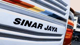 Cinematic video bus Sinar Jaya 62RD