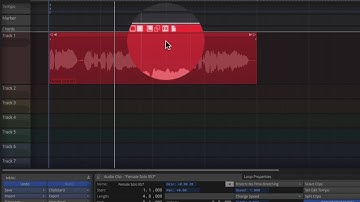 14 Waveform Quickstart  - Clip Gain Techniques