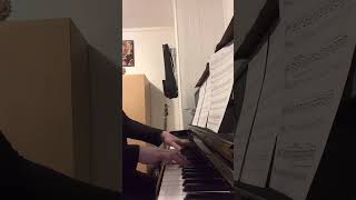 Irreplaceable de Chad Lawson (extrait joué par Manon Chenard)