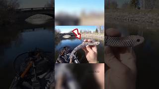 Aneh, Umpan Buatan Berbentuk Ular