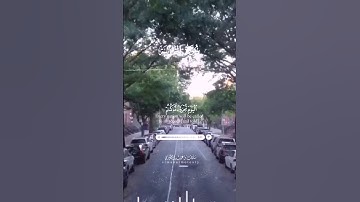 القارئ سلمان المطيري