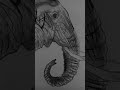 #short #viralvideo #drawing of elephant #elephant #shorts