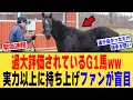 ファンに過大評価されているG1馬、に対する【競馬反応集】