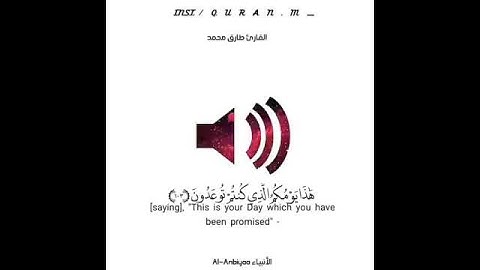 قرآن كريم بصوت القارئ طارق محمد 🎧⚡ أجمل حالات واتس اب دينية مقاطع انستقرام دينية مقاطع دينية قصيرة