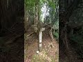 【1分登山】大天井ヶ岳 五番関から最短コースを歩いてみただけ #登山
