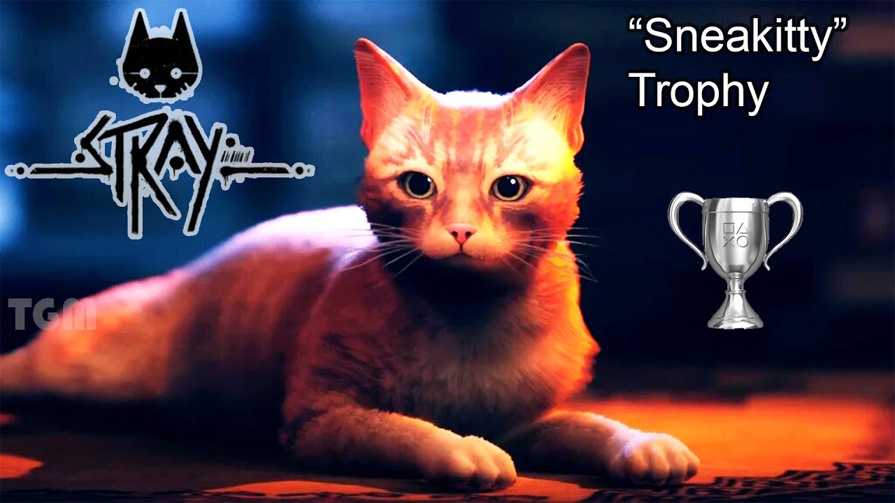 I t a cat. Have you got. I t a cat. кошка предлоги. кошка " not tumorrow ".