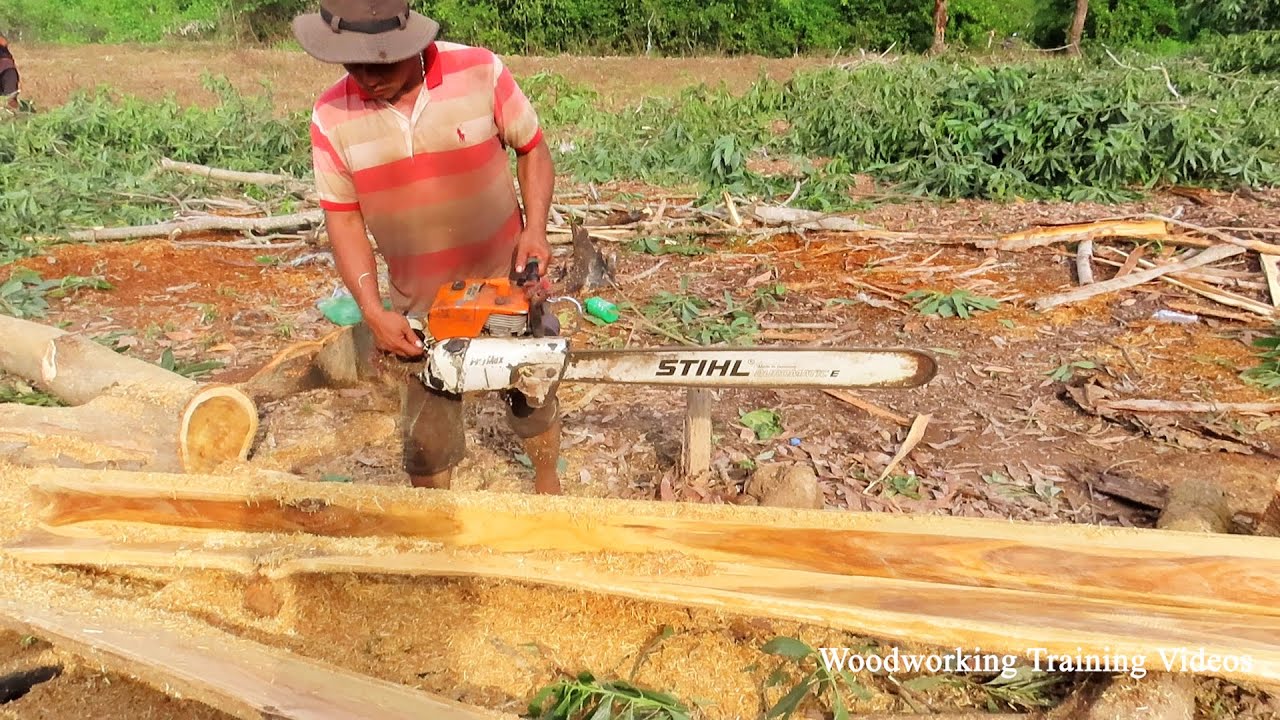 Red Wood Cutting Skills With STIHL Chainsaw MS720! Strong Chainsaw VS ...