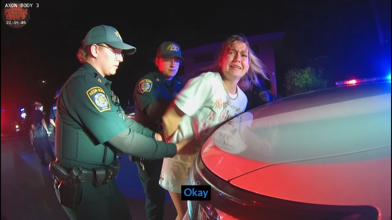 Driver Refuses to Comply During Traffic Stop — Then It Turns Physical ...