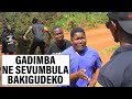 GADIMBA NE SEVUMBULA BAKIGUDDEKO 