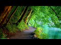 Soothing music for nerves music for heart disease, relaxation, music for the soul, for deep sleep