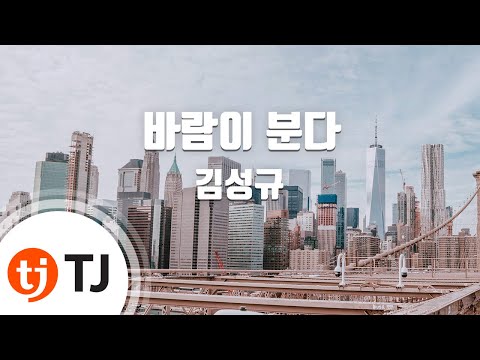[TJ노래방] 바람이분다 - 김성규 / TJ Karaoke