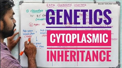 Cytoplasmic Inheritance | Genetics | V Senthilnathan