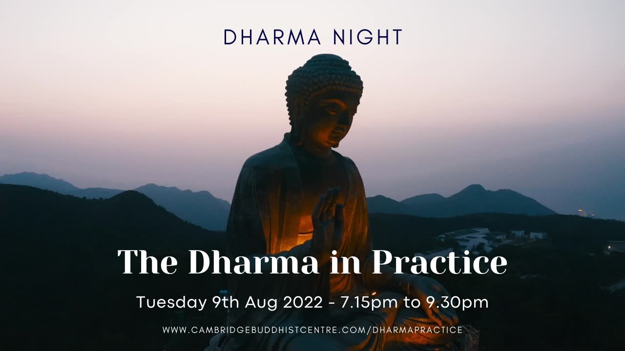 The Dharma in Practice: Dharma Night - YouTube