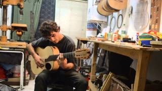 Guitarra Tipo Kasha-Schneider