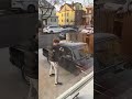 ВАЗ 2107 В США ваз жигули ваз2107 2107 автоваз сша Vaz Vaz2107 Lada классика Shots топ 