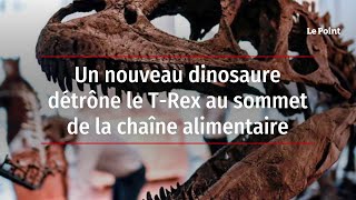 Un nouveau dinosaure détrône le T-Rex au sommet de la chaîne alimentaire