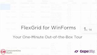 FlexGrid for WinForms: One-Minute Feature Tour
