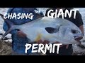 How to fish for permit hook set  giant permit on fly tips  crabs