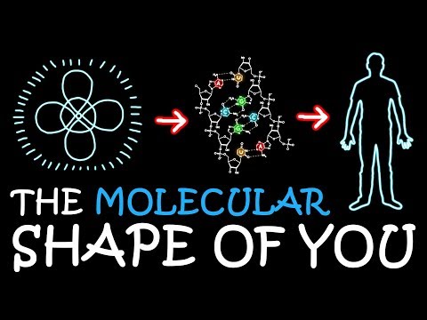 The Molecular Shape of You (Ed Sheeran Parody) | A Capella Science