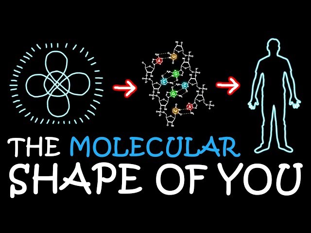 The Molecular Shape of You (Ed Sheeran Parody) | A Capella Science class=