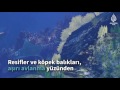 24 bin tür yok olma tehlikesiyle karşı karşıya