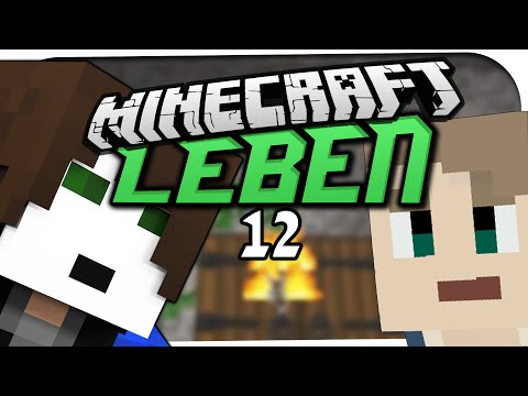 MINECRAFT: LEBEN ☆ #12 - DER EINBRUCH! ☆ Minecraft: Leben