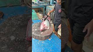 BIG TUNA Butchering MASTER: Fastest TUNA Cutting in the World? 🔪🔴LIVE 04 April 2026 #TunaCutting