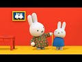 How Tall Is Miffy Miffy Cartoons For Kids How Tall Is Miffy Miffy Cartoons For Kids